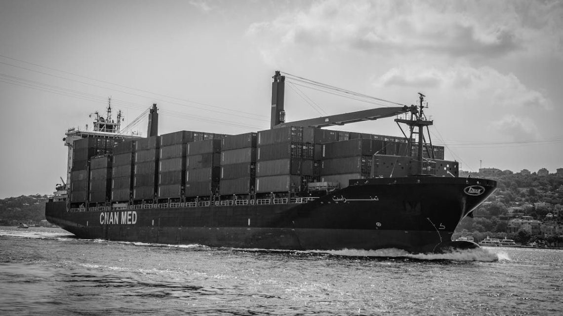 Black and white photo of a container ship in Istanbul, Turkey.